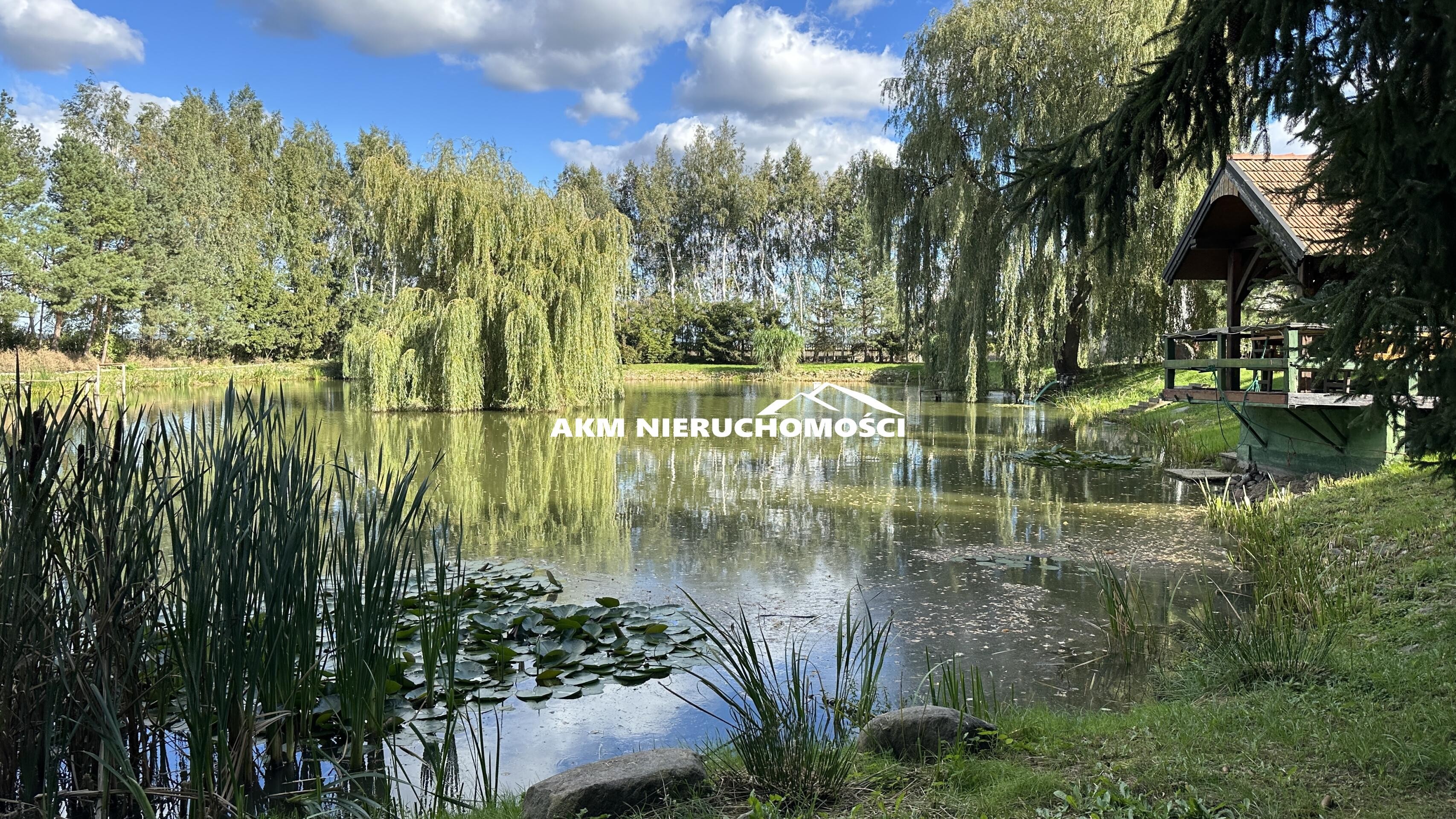 pomorskie, kwidzyński, Działka siedliskowa z jeziorem